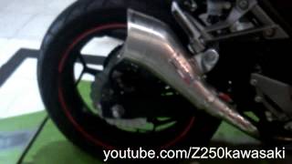 Leo Vince Exhaust Slip On For Kawasaki Z250 [upl. by Anaujnas]