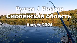 Рудня  Смоленская область  Россия август 2024 [upl. by Eniamej976]