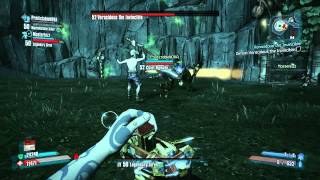 BORDERLANDS 2  Voracidous the Invincible First Attempts [upl. by Inaliak]