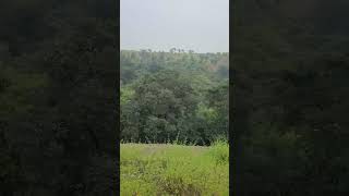 Kasto Mazza Shantanu Moitra कस्तो मजा Kasto Mazza hai railayma Nature Prakrati Forest Nature [upl. by Havot978]