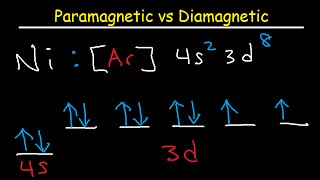 Paramagnetic vs Diamagnetic  Paired vs Unpaired Electrons  Electron Configuration [upl. by Sineray315]