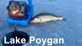 FIRST ICE Lake Poygan Walleyes amp White Bass [upl. by Asilej]