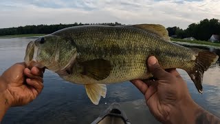 Whopper Plopper Catching Huge Bass [upl. by Campman]