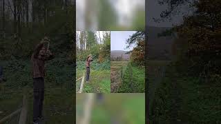 25m can pop catapult hunting catty slingshot trickshot [upl. by Amilas962]