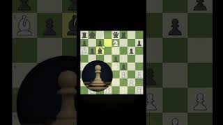 Thee Rook Sacrificeeeee 🤯🥶  chess chessgame shorts magnuscarlsen trendingshorts trending [upl. by Arerrac492]