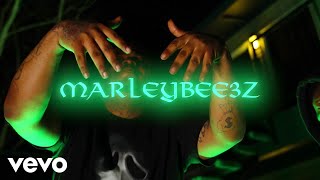 Marleybee3z  EBK Jaaybo Diss [upl. by Ahtram]