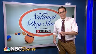 National Dog Show breed fun facts with Steve Kornacki  NBC Sports [upl. by Seidel]