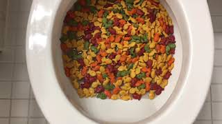 Will it Flush  Rainbow Goldfish [upl. by Brion]