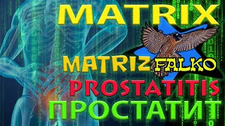 ПРОСТАТИТ  PROSTATITIS [upl. by Dodi]