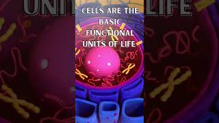 Cells Are The Basic Functional Unit Of Life shortsfeed cellbiology cell [upl. by Simonette]