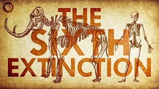 Are We Living In the Sixth Extinction [upl. by Valenta132]