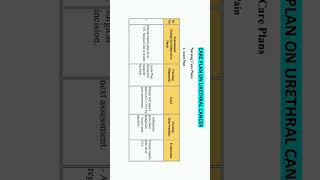 Nursing Care Plan On Urethral Cancer nursing careplan nursingcareplan gnm bscnursing aiims [upl. by Assecnirp]