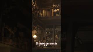 Shopping For Wands In Hogwarts Legacy hogwartslegacy harrypotter hogwarts [upl. by Iarised]