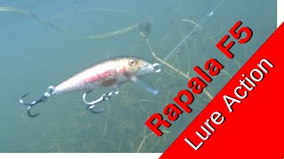 Rapala F5 Original Floating Minnow Underwater Lure Action For Fishing [upl. by Goldshlag]