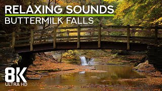 Calming Forest Waterfall Ambience with Stream Flowing Sound  8K Buttermilk Falls State Park NY [upl. by Algernon]