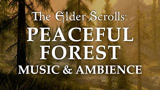 The Elder Scrolls Music amp Ambience  Peaceful Forest 5 Beautiful Scenes with Calm Music Mix 6 Hrs [upl. by Akehsar682]