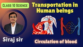 Transportation in Human being Class 10Arteries and VeinsLife processBy SirajFarasta [upl. by Eignat]