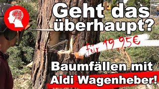 Geht das überhaupt Baumfällen mit Aldi Wagenheber [upl. by Acisse]