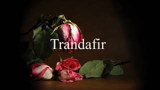 MONAMOUR  TRANDAFIR Official Visualizer [upl. by Fabrin797]