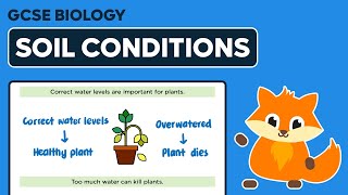 Abiotic Factors Soil Conditions  GCSE Biology [upl. by Pearline800]