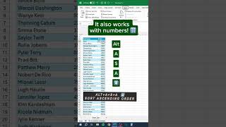 ALPHABETICALLY SORT IN EXCEL SHORTCUT KEY [upl. by Adle471]