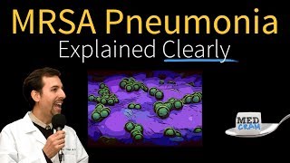 MRSA Pneumonia Explained Clearly by MedCramcom  Part 1 [upl. by Nirel]