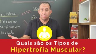 Quais são os Tipos de Hipertrofia Muscular Sarcoplasmática e Microfibrilar [upl. by Trevah857]