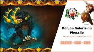 DOFUS  SACRI SOLO DJN PHOSSILE  STUFF [upl. by Pappano340]