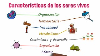 La Célula Clasificación y Estructura [upl. by Aiouqahs]