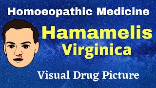 HAMAMELIS VIRGINICA Homoeopathic Medicine Uses Symptoms  BHMS Students HAEMORRHAGE [upl. by Geneva892]