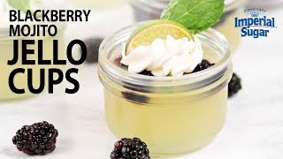 How to Make Blackberry Mojito Jelly Cups [upl. by Akihsay]