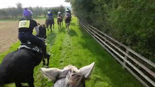 Fox Hunter at The Cottesmore 2024 [upl. by Tzong682]