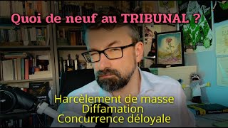 Quoi de neuf au tribunal  Mai 2024 [upl. by Notnert]