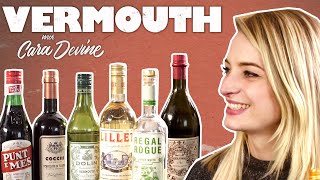 I meet an Expert  Vermouth amp fortifiedaromatised wines explained [upl. by Yrrehs]