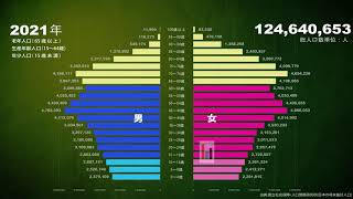 日本の年次・性・年齢別人口ピラミッド [upl. by Eentirb565]