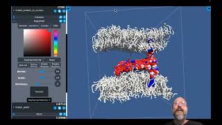 MolPlay coarse grained interactive molecular dynamics of a double bilayer system [upl. by Enitsugua]