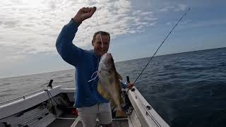 Boat fishing on wrecks and reefs skill luck and perseverance [upl. by Sinnoda]