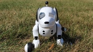 Zoomer The Interactive Robotic Dog Review [upl. by Ueih]