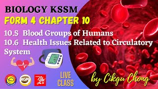 105 Blood Groups of Humans amp 106 Health Issues Related to Human Circulatory System [upl. by Annawak742]