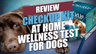 CheckUp Kit At Home Wellness Test for Dogs Review [upl. by Alek]