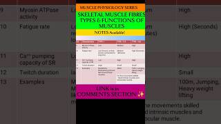 💥 MUSCLE PHYSIOLOGY  Sketelal Muscle Fibres TYPES amp Functions ✨ physiotherapyeducation muscles [upl. by Male198]