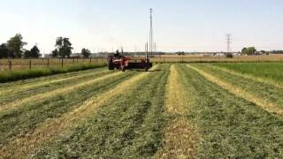 IH 1456 restored mowing hay [upl. by Nirmak]