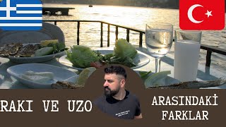 Rakı ve Ouzo arasındaki farklar [upl. by Anaiv]