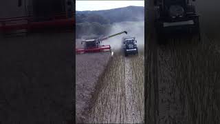 Ein Claas Lexion und ein Fendt in der Raps Ernte landwirtschaft claas fendt [upl. by Nnayllas]