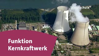 Wie funktioniert ein Kernkraftwerk  Frage trifft Antwort  planet schule [upl. by Nannoc382]