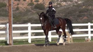 Correcting the overflexion in the horses neck [upl. by Vento759]