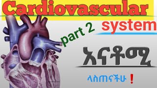 Heart conduction system  cardiac output heart sounds cardiac muscles  heart electricity [upl. by Januisz760]