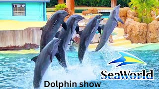 Dolphin Adventures Show SeaWorld Orlando 2024  SeaWorld Orlando [upl. by Melak583]