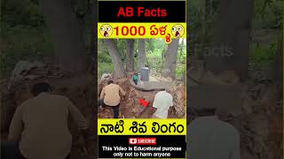 😲1000 ఏళ్ళ😲 1000 years old Siva lingam found in jungle telugufacts shorts youtubeshorts abfacts [upl. by Brouwer195]