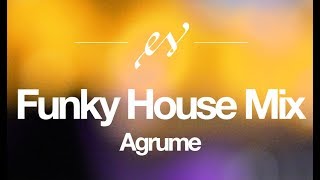 Funky House Mix  Agrume Exclusive  Music to Help StudyWorkCode [upl. by Ahsina]